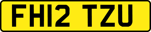 FH12TZU
