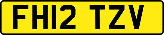 FH12TZV