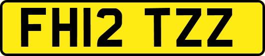 FH12TZZ