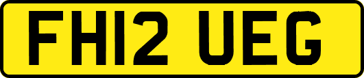 FH12UEG