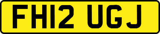 FH12UGJ