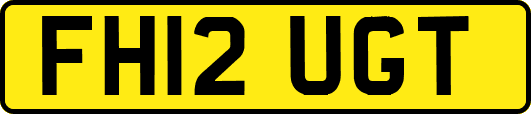 FH12UGT