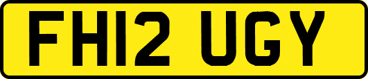 FH12UGY