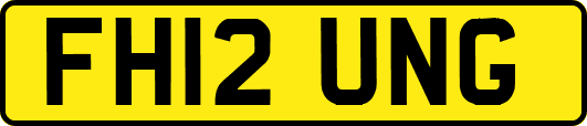 FH12UNG