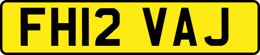 FH12VAJ