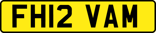 FH12VAM