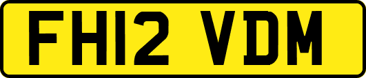 FH12VDM