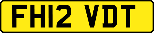 FH12VDT