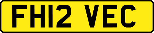 FH12VEC