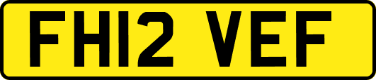 FH12VEF