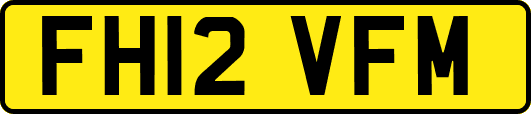 FH12VFM