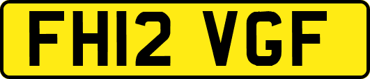 FH12VGF