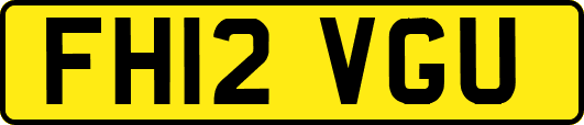 FH12VGU