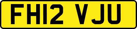 FH12VJU