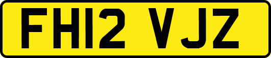 FH12VJZ