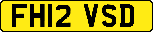FH12VSD