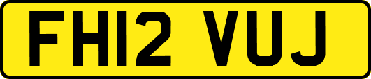 FH12VUJ