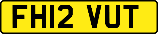 FH12VUT