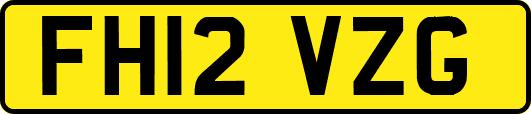 FH12VZG