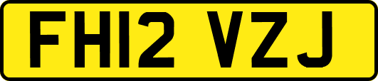 FH12VZJ