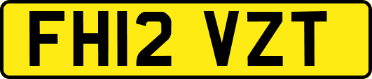 FH12VZT
