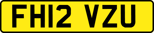 FH12VZU