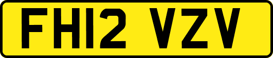 FH12VZV