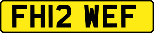 FH12WEF