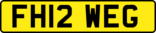 FH12WEG