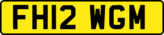 FH12WGM