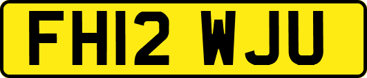 FH12WJU