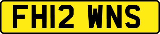 FH12WNS