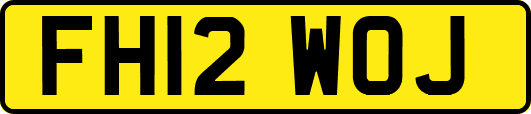 FH12WOJ