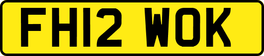 FH12WOK