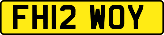 FH12WOY