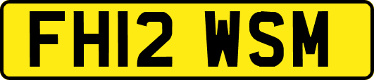 FH12WSM