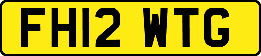 FH12WTG