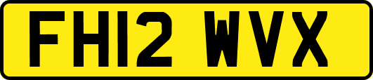 FH12WVX