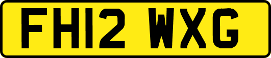 FH12WXG