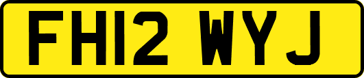 FH12WYJ