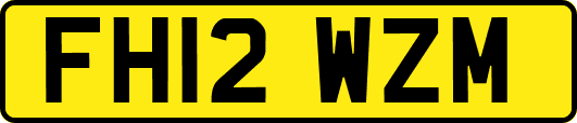 FH12WZM