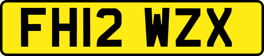 FH12WZX