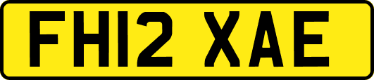 FH12XAE
