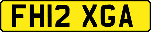 FH12XGA