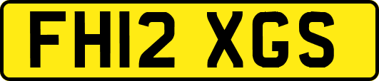 FH12XGS