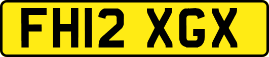 FH12XGX