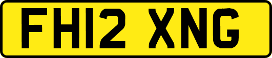 FH12XNG