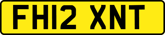 FH12XNT