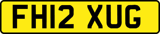 FH12XUG