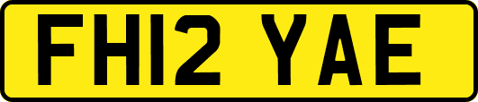 FH12YAE